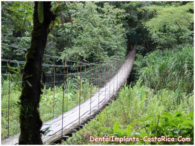 Hanging Bridge in Central America